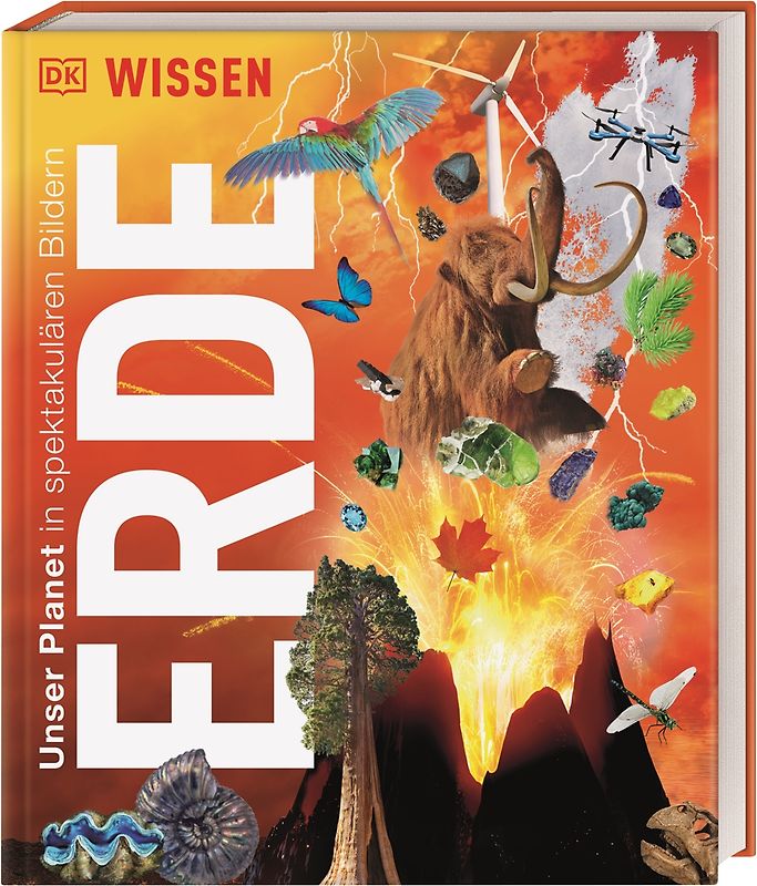 DK Wissen. Erde