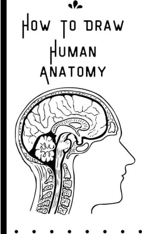 How to Draw Human Anatomy