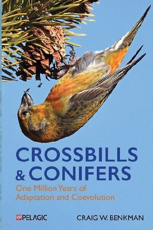Crossbills and Conifers