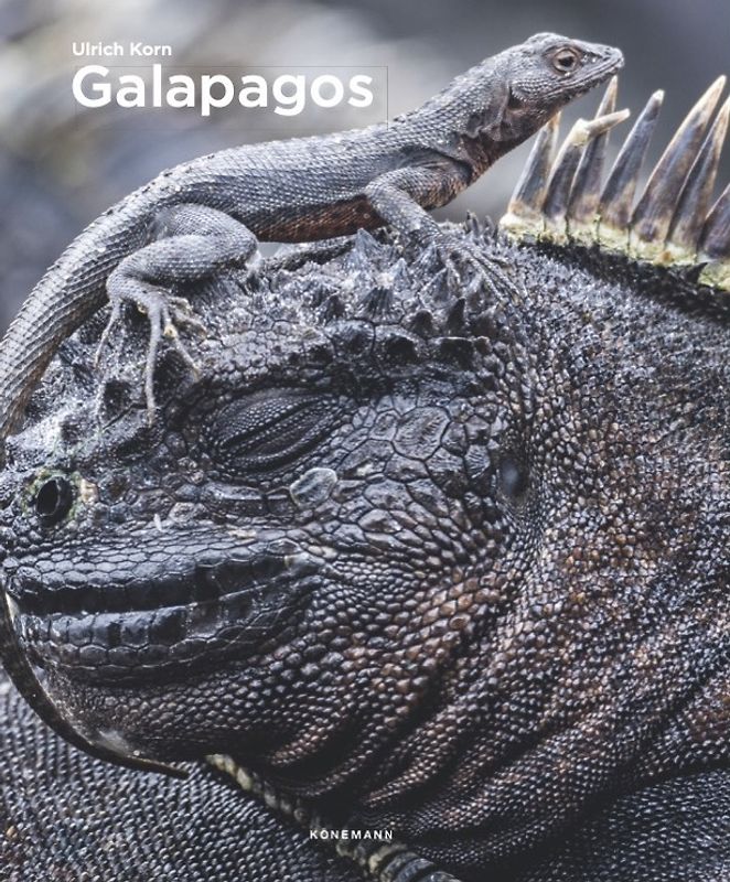Galapagos Islands