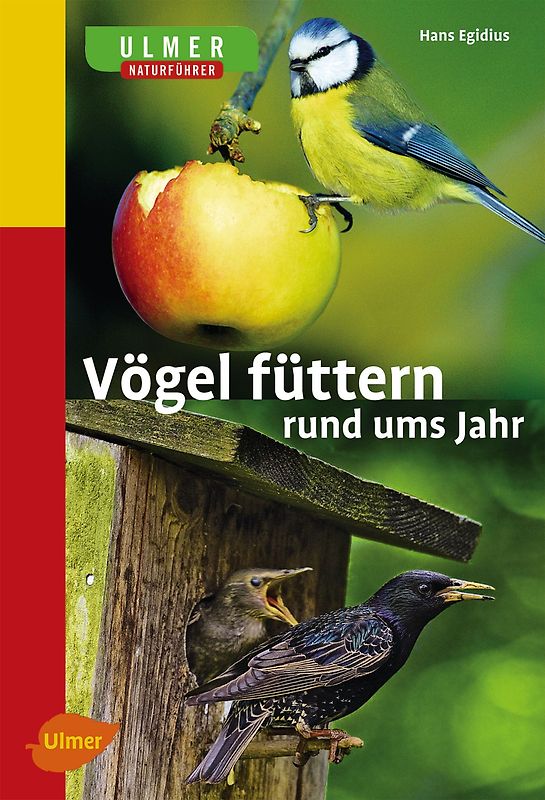 Vögel füttern rund ums Jahr