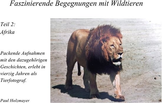 Faszinierende Begegnungen mit Wildtieren