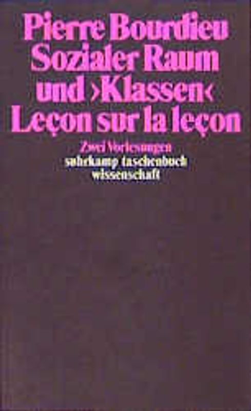 Sozialer Raum und »Klassen«