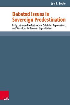 Debated Issues in Sovereign Predestination