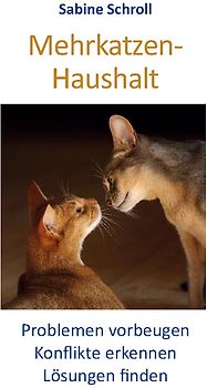Mehrkatzen-Haushalt