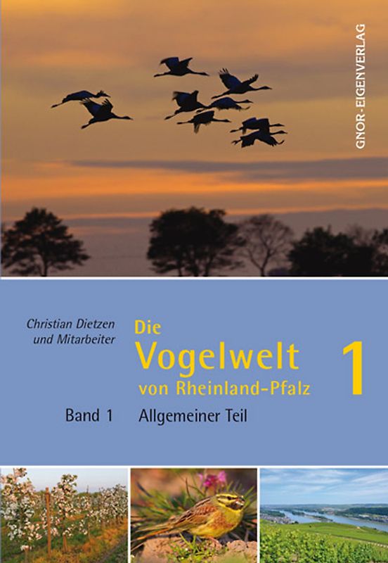 Die Vogelwelt von Rheinland-Pfalz