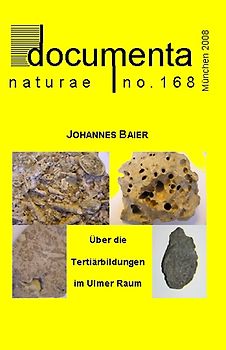 Über die Tertiärbildungen im Ulmer Raum