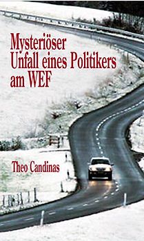Mysteriöser Unfall eines Politikers am WEF