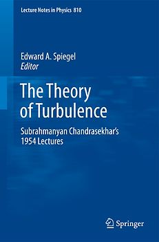 The Theory of Turbulence