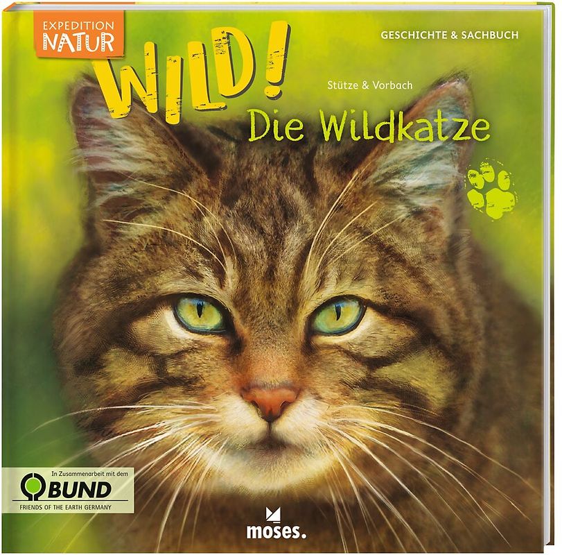 Expedition Natur: WILD! Die Wildkatze