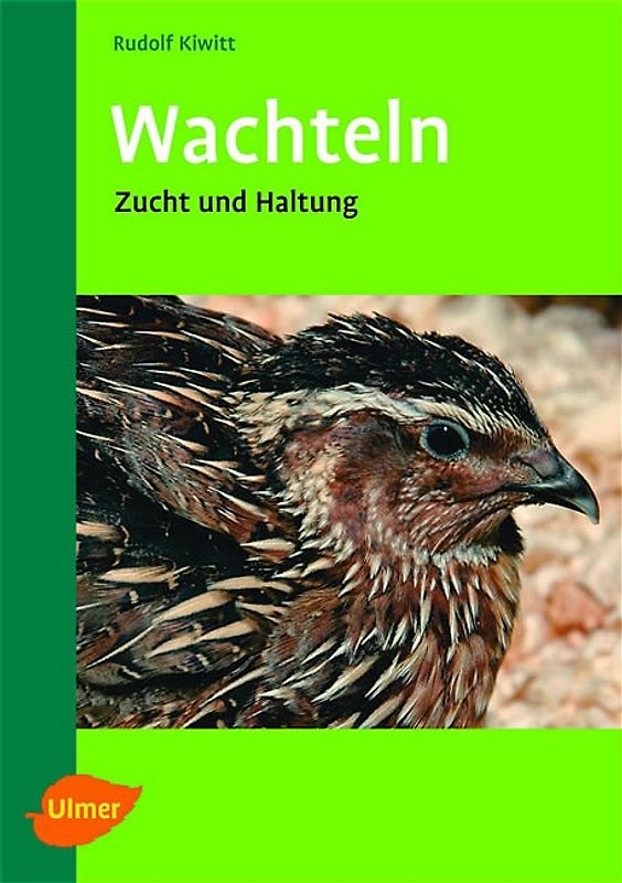 Wachteln