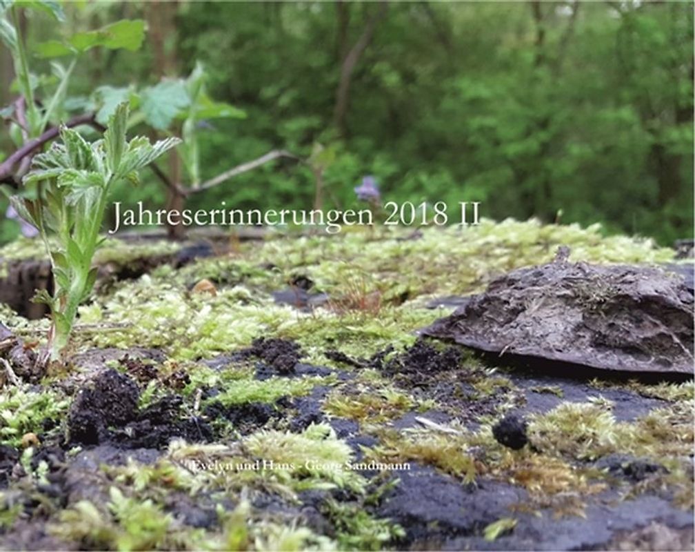 Jahreserinnerungen 2018 II
