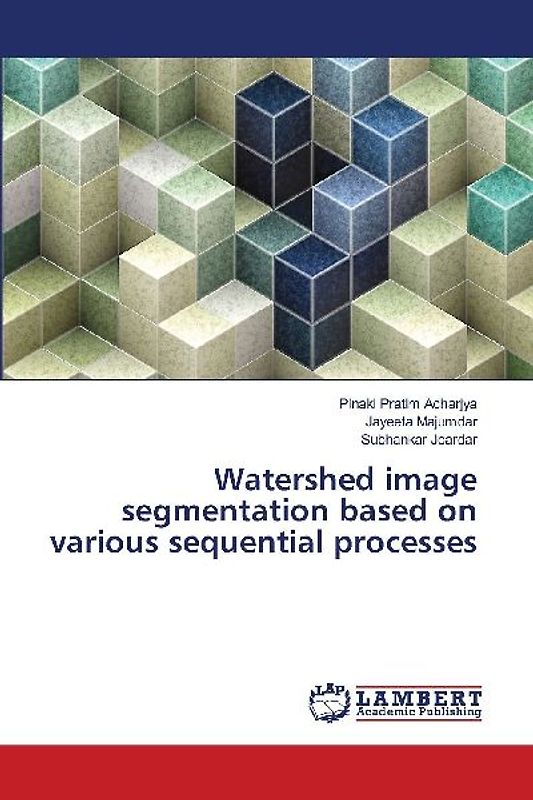 Watershed image segmentation based on various sequential processes