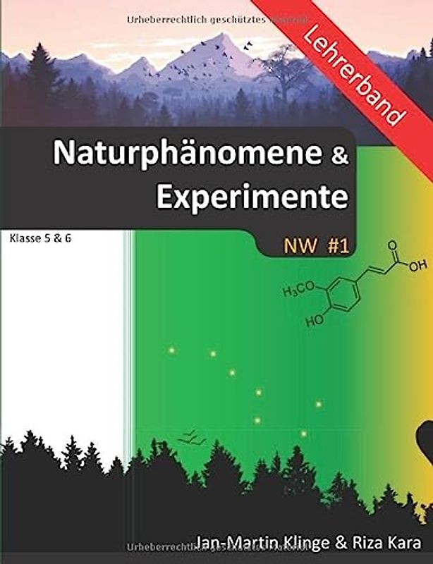 Naturphänomene & Experimente (Lehrerband): Naturwissenschaft unterrichten (NW, Band 1)