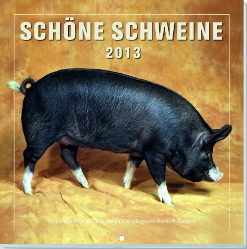 Schöne Schweine 2013