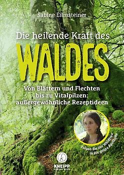 Die heilende Kraft des Waldes