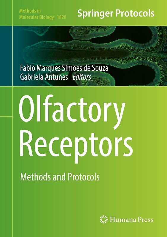 Olfactory Receptors
