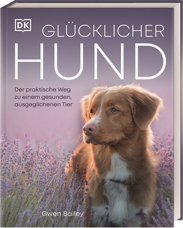 Glücklicher Hund