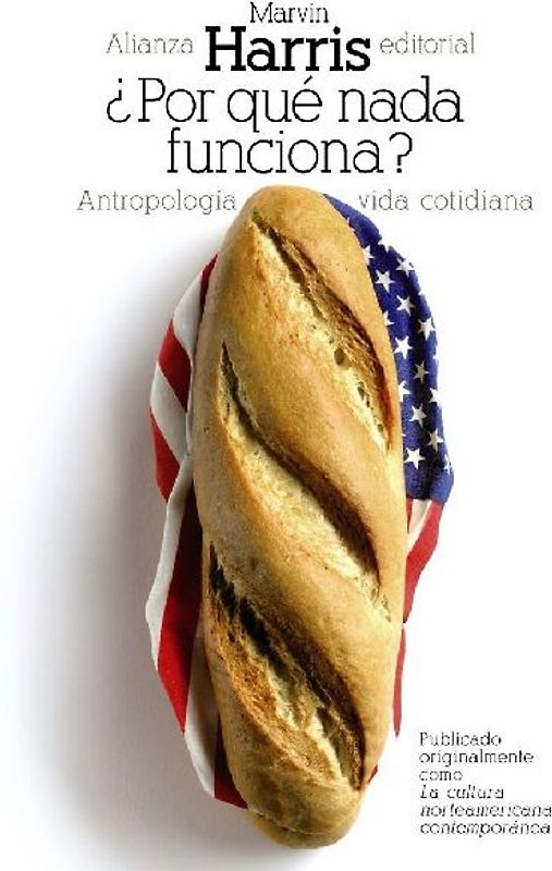 ¿Por qué nada funciona? : antropología de la vida cotidiana