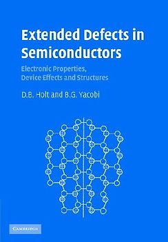 Extended Defects in Semiconductors