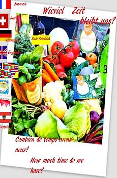 Wieviel Zeit bleibt uns? Combien de temps avons-nous? How much time do we have? D F UK