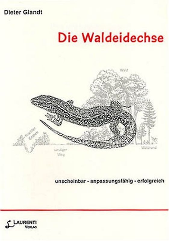 Die Waldeidechse