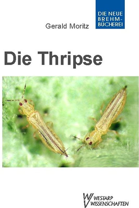 Thripse – Fransenflügler, Thysanoptera