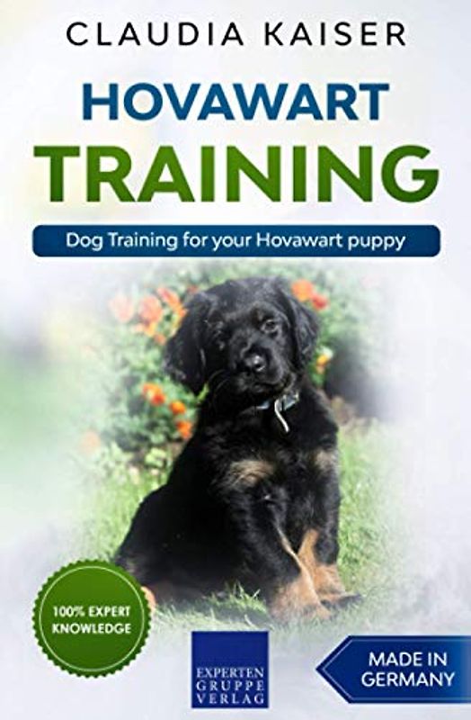 Hovawart Training: Dog Training for your Hovawart puppy