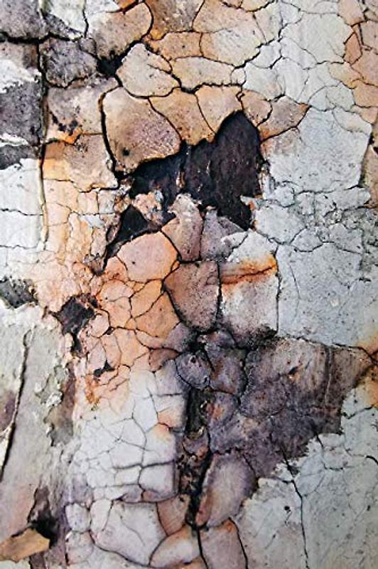 Intuitive Prozessmalerei (orange 01)