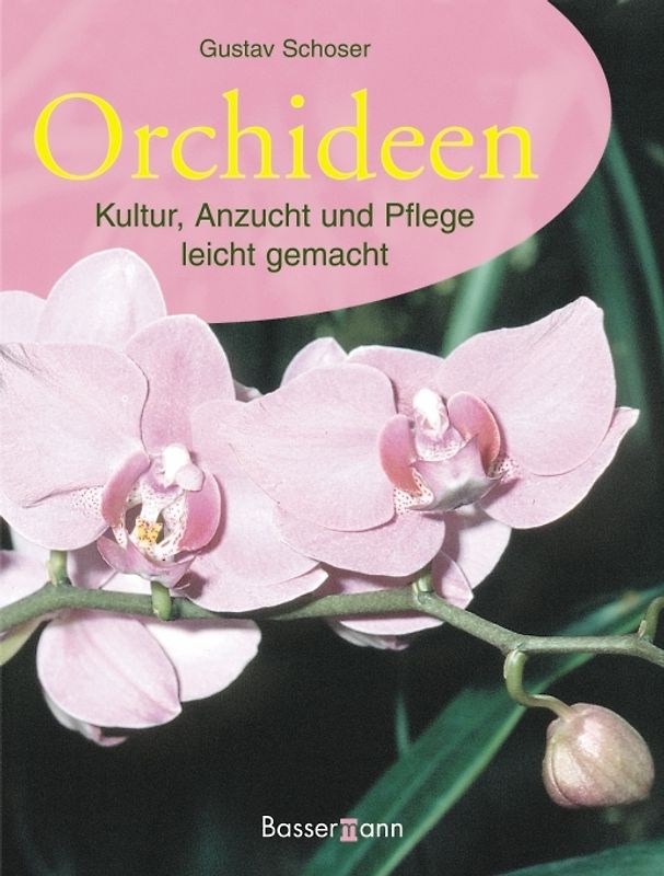 Orchideen
