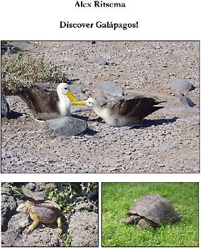 Discover Galápagos!