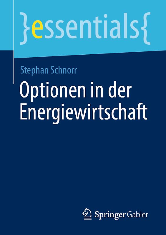 Optionen in der Energiewirtschaft