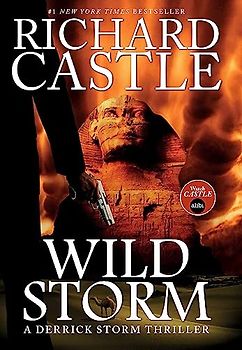 Wild Storm: A Derrick Storm Novel