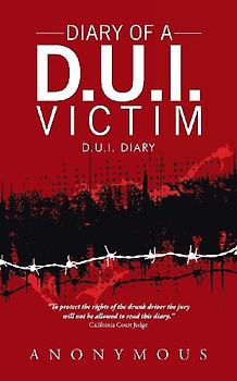 Diary of a D.U.I. Victim