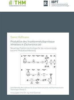 Produktion des Insektenmetalloprotease Inhibitors in Escherichia coli