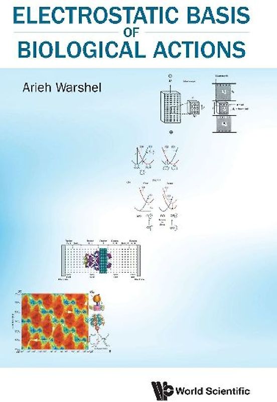 ELECTROSTATIC BASIS OF BIOLOGICAL ACTIONS