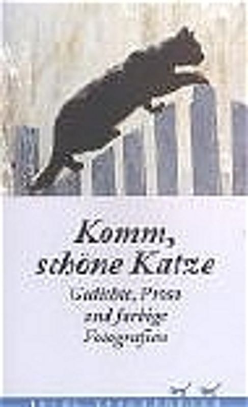 Komm, schöne Katze