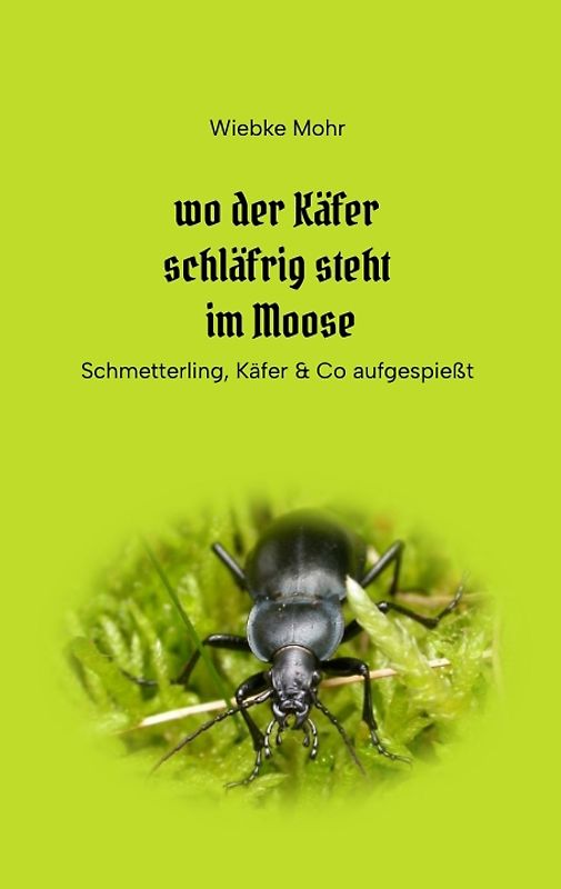 Wo der Käfer schläfrig steht im Moose