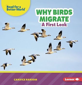 Why Birds Migrate
