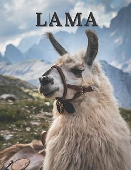 Lama: Lama-Bilderbuch für Senioren, Demenzkranke, Alzheimer-Patienten und Menschen mit Gedächtnisverlust.