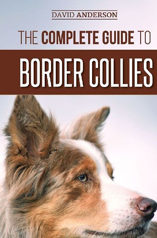 The Complete Guide to Border Collies