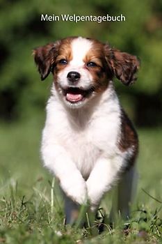 Mein Welpentagebuch: die ersten Monate mit meinem Kooikerhondje (Kooikerhondje - alle Bücher: Trainingstagebuch, Krankenakte und Welpentagebuch, Band 3)