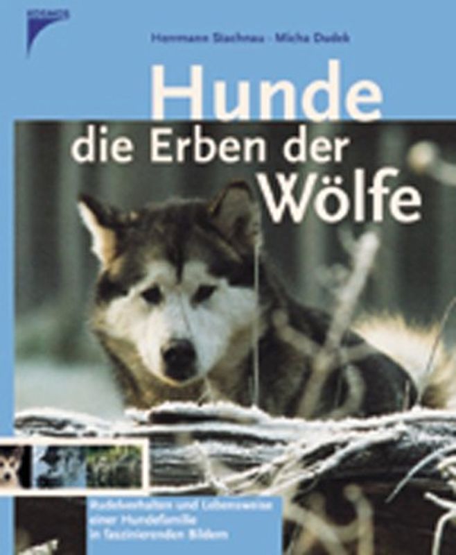 Hunde - Die Erben der Wölfe. Rudelverhalten und Lebensweise einer Hundefamilie in faszinierenden Bildern