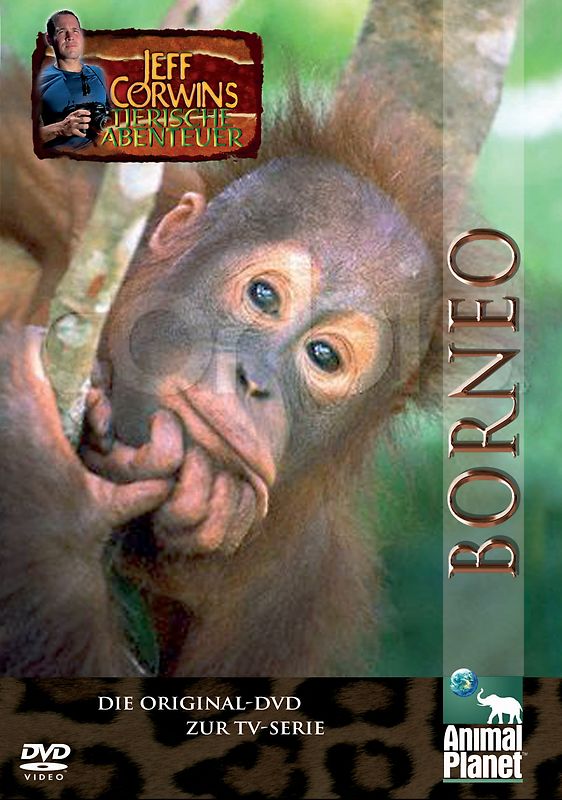Animal Planet - Jeff Corwins tierische Abenteuer: Borneo DVD
