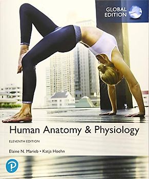 Human Anatomy & Physiology, Global Edition
