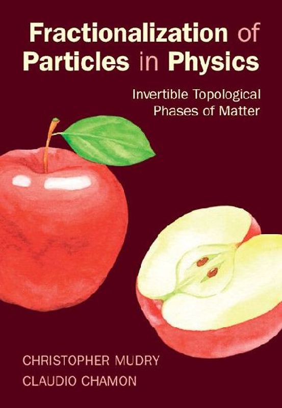 Fractionalization of Particles in Physics