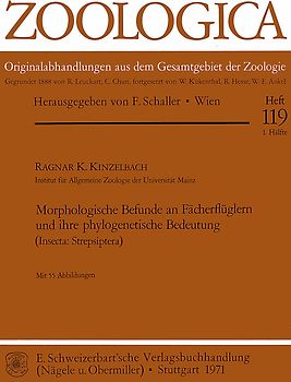 Morphologische Befunde an Fächerflüglern und ihre phylogenetische...