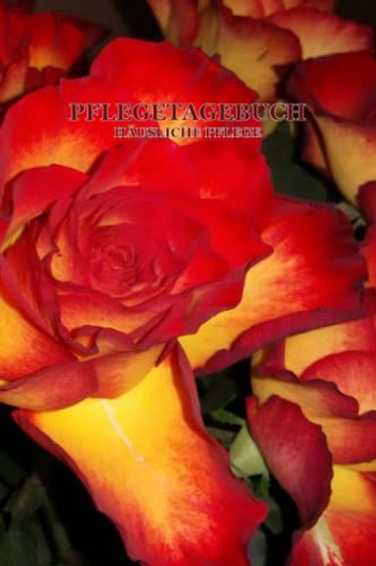 PFLEGETAGEBUCH HÄUSLICHE PFLEGE: Pflegeleistungen und Zeiten für einen Monat. Tagebuch zur Vorbereitung auf Pflegegrad-Gutachten. Pflegeleistungen ... für die Pflegebegutachtung durch den MDK.