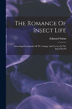 The Romance Of Insect Life