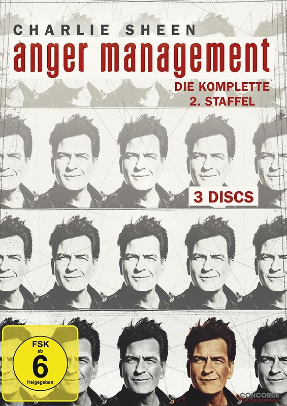 Anger Management - Die komplette 2. Staffel [3 DVDs] DVD